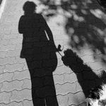 IMG_1556.jpeg