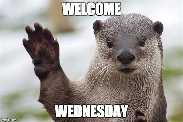 welcome wed.jpg