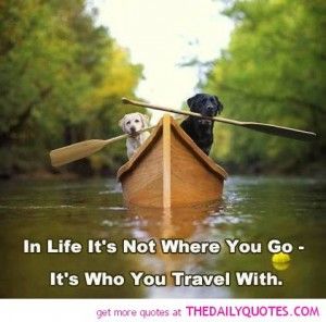 funny-life-labrador-dogs-on-boat-pic-cute-animal-quotes-pictures-pics.jpg