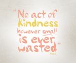 kindness never wasted.jpg